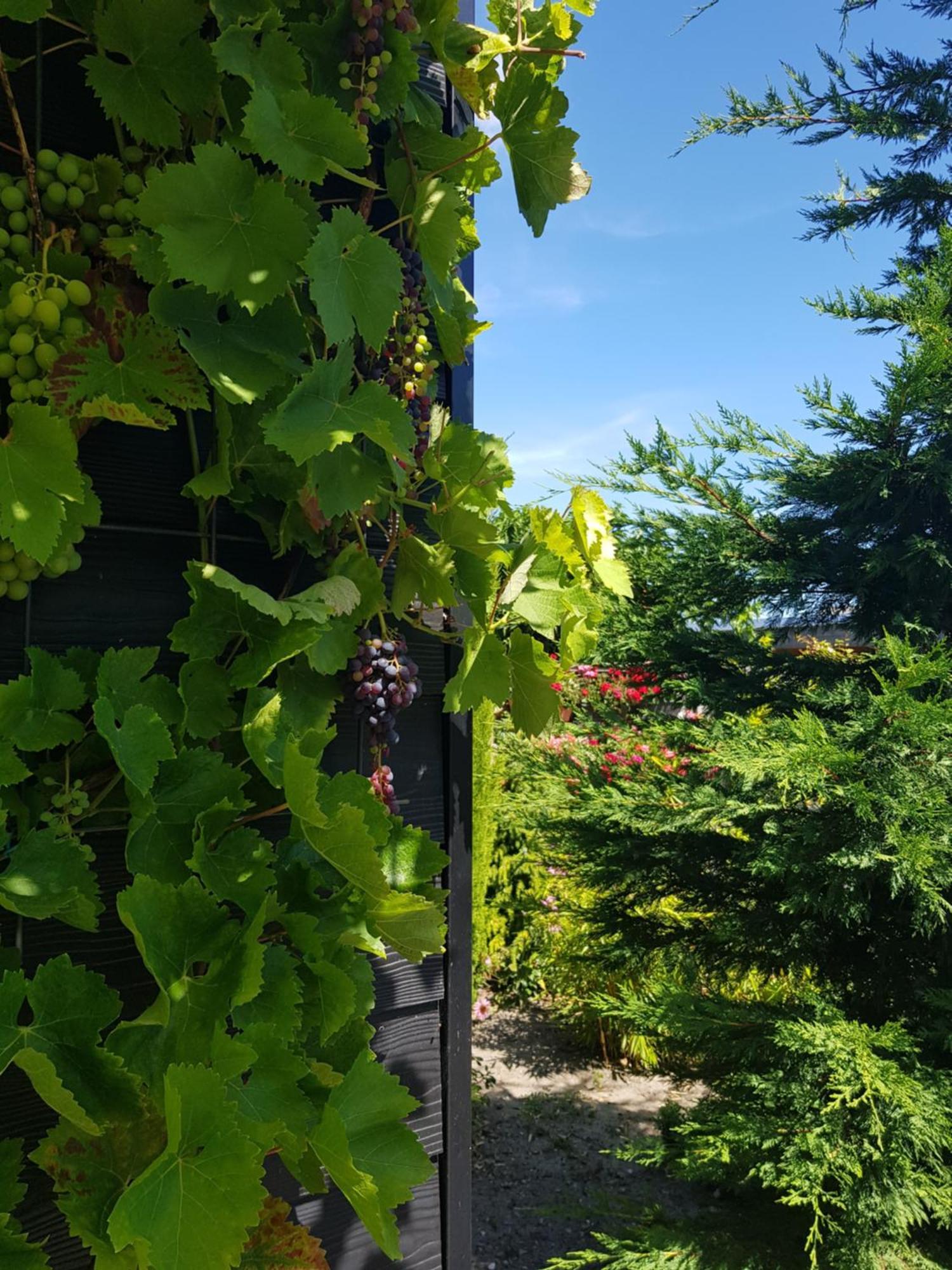 B&B Welkom Zierikzee Szoba fotó