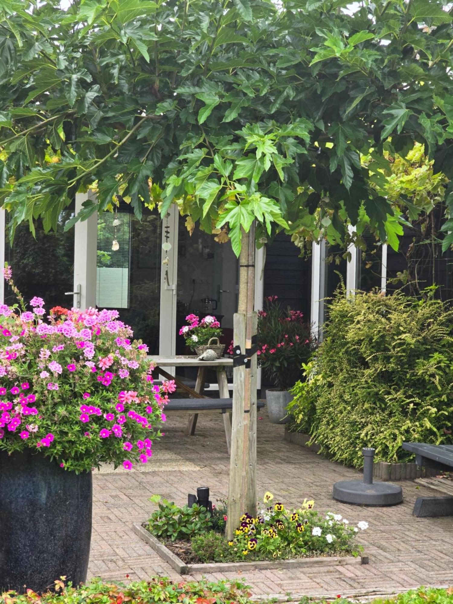 B&B Welkom Zierikzee Kültér fotó